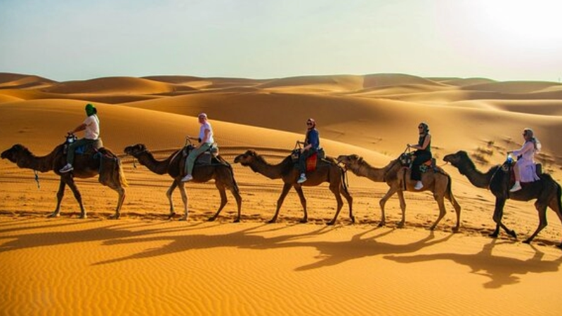 Grupo de turistas sobre camellos por el desierto Merzouga en Marruecos